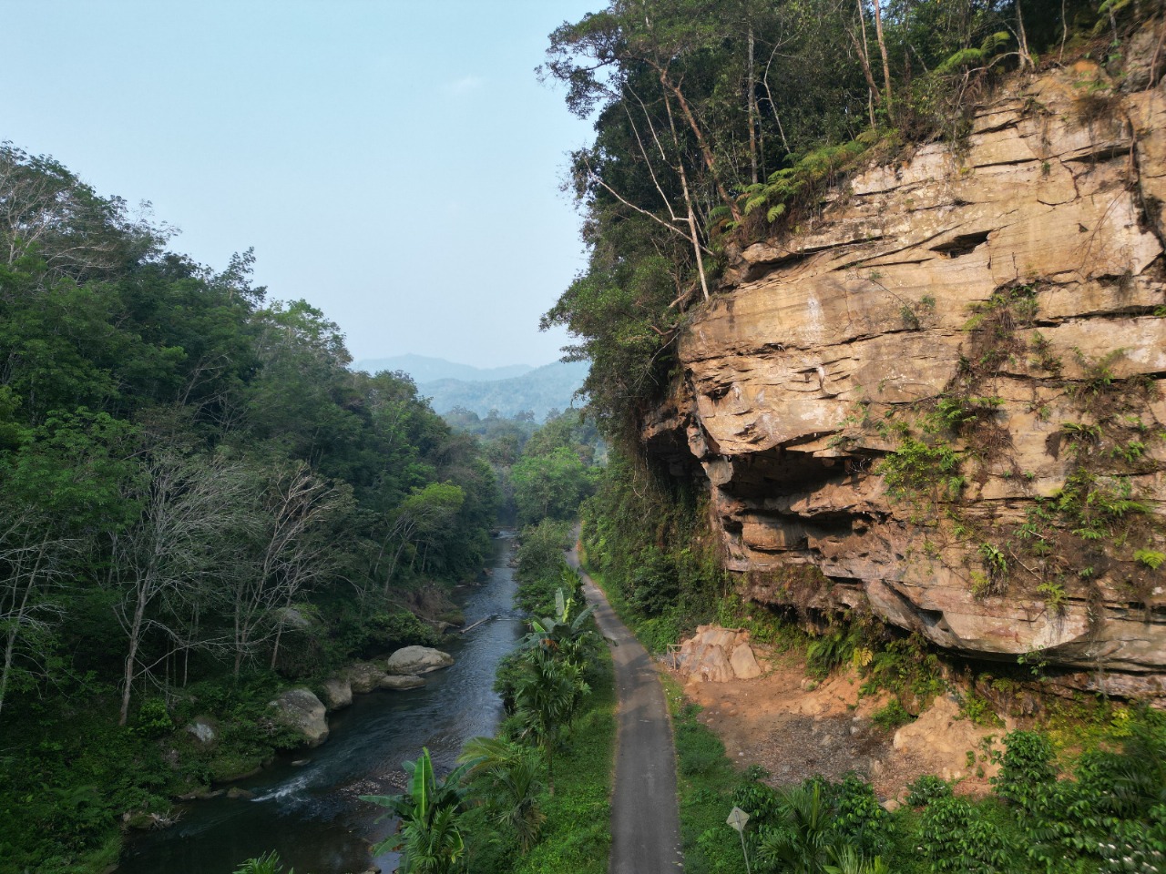 Batupasir Sialang Lubuk Tarok 